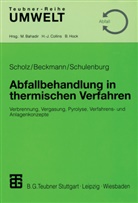 Beckman, Michae Beckmann, Michael Beckmann, Schol, Reinhar Scholz, Reinhard Scholz... - Abfallbehandlung in thermischen Verfahren