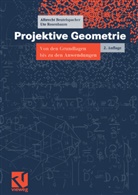 Albrech Beutelspacher, Albrecht Beutelspacher, Ute Rosenbaum - Projektive Geometrie