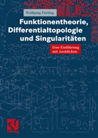 Wolfgang Ebeling - Funktionentheorie, Differentialtopologie und Singularitäten