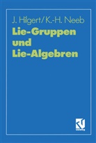 Joachi Hilgert, Joachim Hilgert, Karl-Hermann Neeb - Lie-Gruppen und Lie-Algebren