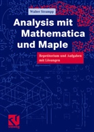 Walter Strampp - Analysis mit Mathematica und Maple
