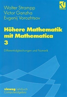 Victo Ganzha, Victor Ganzha, Walte Strampp, Walter Strampp, Evgenij Vorozhtsov, Evgenij V. Vorozhtsov - Höhere Mathematik mit Mathematica - 3: Höhere Mathematik mit Mathematica