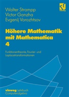 Victo Ganzha, Victor Ganzha, Walte Strampp, Walter Strampp, Evgenij Vorozhtsov, Evgenij V. Vorozhtsov - Höhere Mathematik mit Mathematica - 4: Höhere Mathematik mit Mathematica