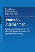 Helmut Brentel, Herbert Klemisch, Helmut Brentel, Herber Klemisch, Herbert Klemisch, Holger Rohn - Lernendes Unternehmen