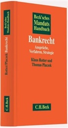 Thomas Placzek, Klaus Rotter - Bankrecht