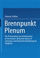 Dietmar Schiller - Brennpunkt Plenum