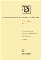 Ekkehard Schulz - Innovation bei der Stahltechnologie. Das Entwicklungspotential von Stählen