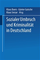 Günter Gutschel, Klaus Sessar, Klaus Boers, Günte Gutsche, Günter Gutsche, Günter Gutschel... - Sozialer Umbruch und Kriminalität in Deutschland