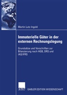 Martin Lutz-Ingold - Immaterielle Güter in der externen Rechnungslegung