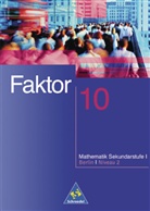 Max Schröder, Bernd Wurl, Alexander Wynands - Faktor, Mathematik Sekundarstufe I, Ausgabe Berlin: 10. Jahrgangsstufe, Niveau II