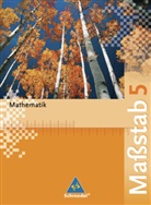 Max Schröder, Bernd Wurl, Alexander Wynands - Maßstab, Mathematik Realschule, Ausgabe Nordrhein-Westfalen, Neubearbeitung: Maßstab - Mathematik für Realschulen in Nordrhein-Westfalen, Bremen, Hamburg und Schleswig-Holstein - Ausgabe 2005