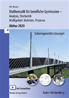 Rolan Ott, Roland Ott, Stefan Rosner - Mathematik für berufliche Gymnasien - Abitur 2020 - Ausgabe Baden-Württemberg