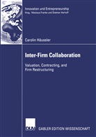 Carolin Häussler - Inter-Firm Collaboration