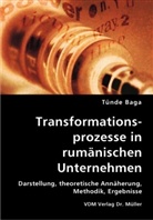 Tünde Baga - Transformationsprozesse in rumänischen Unternehmen