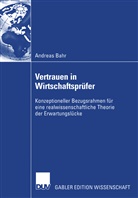 Andreas Bahr - Vertrauen in Wirtschaftsprüfer