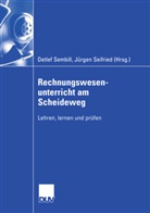 Seifried, Seifried, Jürgen Seifried, Detle Sembill, Detlef Sembill - Rechnungswesenunterricht am Scheideweg