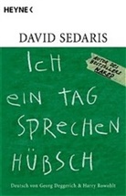 David Sedaris - Ich ein Tag sprechen hübsch