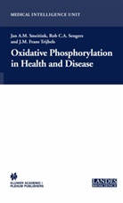Ja A M Smeitink, Jan A M Smeitink, Rob C. A. Sengers, Jan A. M. Smeitink, Jan A.M. Smeitink, J. M. Frans Trijbels - Oxidative Phosphorylation in Health and Disease