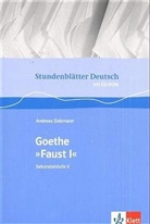 Andreas Siekmann, Johann Wolfgang von Goethe - Goethe "Faust I", m. 1 CD-ROM