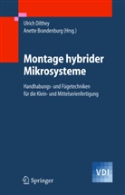 Brandenburg, Brandenburg, Anette Brandenburg, Annette Brandenburg, Ulric Dilthey, Ulrich Dilthey - Montage hybrider Mikrosysteme