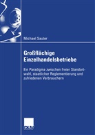 Michael Sauter, Michael M Sauter, Michael M. Sauter - Großflächige Einzelhandelsbetriebe