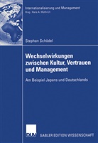 Stephan Schödel - Wechselwirkungen zwischen Kultur, Vertrauen und Management