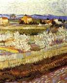 Susan Eichborn, Susan E. Eichhorn, Ray Evert, Ray F. Evert, Peter H. Raven - Biology of Plants