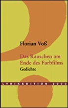 Florian Voss - Das Rauschen am Ende des Farbfilms