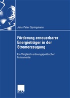 Jens-Peter Springmann - Förderung erneuerbarer Energieträger in der Stromerzeugung
