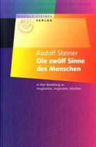 Rudolf Steiner - Die zwölf Sinne des Menschen