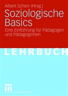 Albert Scherr - Soziologische Basics