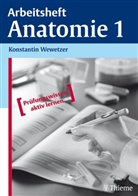 Konstantin Wewetzer - Anatomie - Bd. 1: Anatomie, Arbeitsheft. Bd.1