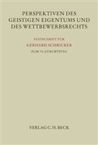 Theo Bodewig, Thomas Dreier, Horst-Peter Götting, Maximilian Haedicke, Michael Lehmann, Ansgar Ohly - Perspektiven des Geistigen Eigentums und des Wettbewerbsrechts