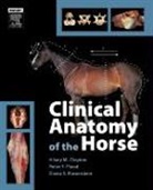 Clayton, Hilary M Clayton, Hilary M. Clayton, Hillary M. Clayton, Peter F. Flood, Diana S. Rosenstein - Clinical Anatomy of The Horse