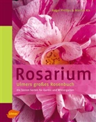 Roger Phillips, Marty Rix, Martyn Rix - Rosarium