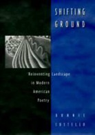 Bonnie Costello, Costello Bonnie - Shifting Ground