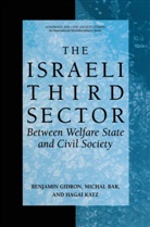 Micha Bar, Michal Bar, Benjami Gidron, Benjamin Gidron, Hagai Katz - The Israeli Third Sector