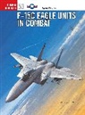 Steve Davies, Chris Davey, mark Styling, Styling Mark - F-15 C Units in Combat