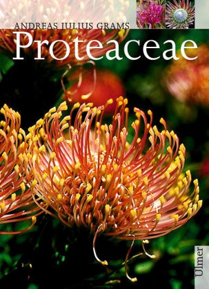 Andreas J Grams, Andreas J. Grams, Andreas Julius Grams - Proteaceae