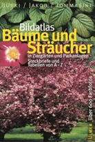 Moritz Bürki, Fritz Jakob, Domenico Tommasini, Domenico M. Tommasini - Bildatlas Bäume und Sträucher