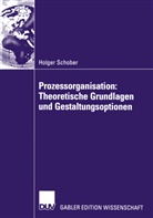 Holger Schober - Prozessorganisation: Theoretische Grundlagen und Gestaltungsoptionen