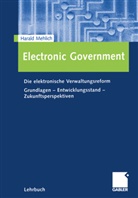 Harald Mehlich - Electronic Government