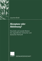 Joachim Brüss - Akzeptanz oder Ablehnung?
