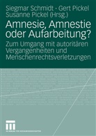 Ger Pickel, Gerd Pickel, Gert Pickel, Susanne Pickel, Siegmar Schmidt - Amnesie, Amnestie oder Aufarbeitung?