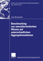 Jana Brauweiler - Benchmarking von umweltorientiertem Wissen auf unterschiedlichen Aggregationsebenen