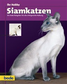 Dietrich, Kieselbac, Dominik Kieselbach - Ihr Hobby Siamkatzen