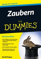 David Pogue - Zaubern für Dummies