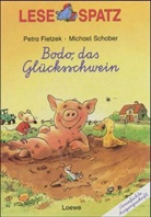 Petra Fietzek, Michael Schober - Bodo, das Glücksschwein, Vereinfachte Ausgangsschrift