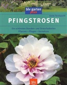 Gerda Tornieporth - Pfingstrosen