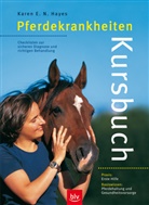 Karen E Hayes, Karen E N Hayes, Karen E. N. Hayes, Karen E.N. Hayes, Hors &amp; Rider Magazine, Horse &amp; Rider Magazine... - Kursbuch Pferdekrankheiten